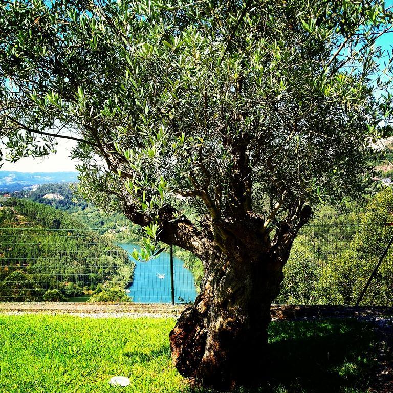 Quinta Das Tilias Douro Valley Cabaca Luaran gambar